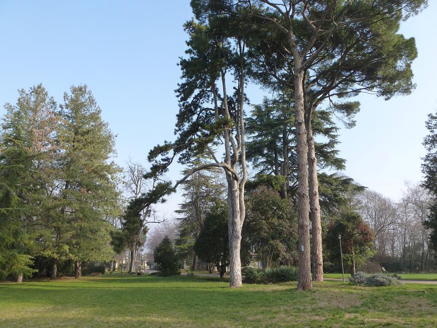 parco-1
